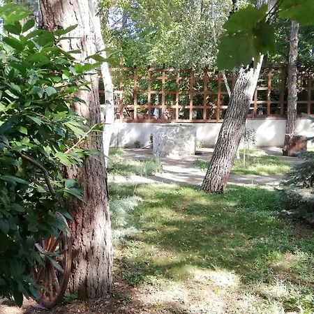 Portobello Garden